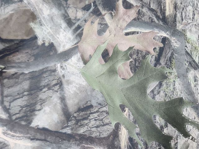 text